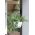 "Ratolla" runder hängender Blumentopf mit Untertasse - an einer Edelstahlkette - 24 cm - Umbra, dunkelbraun - 