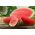 Watermeloen - Sugar Baby - 23 zaden - Citrullus lanatus