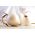 Білий цибуля "Авалон" - 750 насінин - Allium cepa L. - насіння