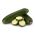 Zucchino - Black Beauty - 19 semi - Cucurbita pepo