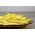 Французька квасоля "Elektra" - жовтий, карликовий сорт - Phaseolus vulgaris L. - насіння
