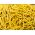 Trpaslík francúzsky žltý fazuľa "Gold Pantera" - Phaseolus vulgaris L. - semená