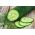 黄瓜“Pokusa F1” - 用于覆盖下的栽培 -  35粒种子 -  - 種子