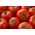 Pomidoras - Słonka F1 - Lycopersicon esculentum  - sėklos