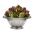 Салат-салат "Розмари" - 900 насінин - Lactuca sativa L. var. capitata  - насіння