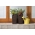 "Finezja" square tall planter with an insert - 19 cm - chiselled, mocha-brown