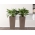 „Finezja“ kvadratinio aukščio plantacija su įdėklu - 14 cm - tamsiai smėlio spalvos - 