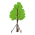 Триточков стабилизатор на дървото - помага на дървото да расте в изправено положение - 