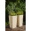 Vierkante plantenbak "Finezja" met inzet - 40 cm - cappuccino-beige rotan - 