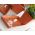 "Agro" záhradný tanierik - terakotová farba - 75 cm - 