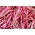 БИО - Двобојни француски пасуљ "Борлотто језик 3" - сертификовано органско семе - 30 семена - Phaseolus vulgaris L.