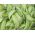 БИО - Полетни шумски грашак "Норли" - сертификовано органско семе - 