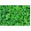 가정 정원 - 사과 박하 - 실내와 발코니 경작을 위해; 파인애플 민트, 양털 민트, 둥근 잎 박하 - Mentha rotundifolia - 씨앗