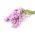 Pink statice; sjø lavendel, hakk blad marsh rosmarin, sjø rosa, wavyleaf sjø lavendel - 105 frø - 