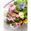 Variety mix of plants with edible flowers - seeds
