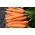 Morcov "Nantes 3" - soi mediu timpuriu - SEED TAPE - Daucus carota ssp. sativus  - semințe