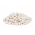 لوبیا "Aura" - انواع کوتوله برای دانه های خشک - 100 دانه - Phaseolus cocineus
