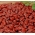 붉은 콩 "Kreacja"- 매우 생산적인 다양성 - Phaseolus vulgaris L. - 씨앗
