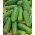Cucumber "Tarot F1" - field variety yielding early rich crops - 175 seeds