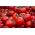 Tomate - Pedro - Lycopersicon esculentum  - sementes