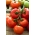 Tomate - Babinicz - Lycopersicon esculentum Mill  - graines
