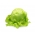 卷心莴苣“桑巴” - 淡绿色叶子 - 被处理的种子 - Lactuca sativa L.  - 種子