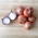 Лук лук "Тото" - 750 семена - Allium ascalonicum