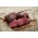 Beetroot "Nelson F1" - round, slightly elongated, early variety - 250 seeds