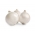 Κρεμμύδι "Alibaba" - άσπρη, τρυφερή ποικιλία για μακροχρόνια αποθήκευση - 750 σπόρους - Allium cepa L. - σπόροι