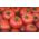 Tomat "Tolek" - buah besar, bisa dikupas tanpa direbus - Lycopersicon esculentum Mill  - biji
