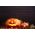 Labu hias "Halloween" - yang terbaik untuk memahat - 15 biji - Cucurbita pepo