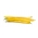 คนฝรั่งเศสถั่วแคระ "Golden Teepee" - ปานกลางต้น - 120 เมล็ด - Phaseolus vulgaris L.
