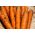 Valgomosios morkos - Nantaise 2 - 3825 sėklos - Daucus carota