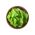 Листя дитячі - салат "Лолло" - Lactuca sativa var. Foliosa - насіння