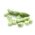 لوبیا سبز "Bonus" - تنوع متوسط زودرس - Vicia faba L. - دانه
