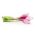 بصل "وردة فلورنسا الطويلة" - Allium cepa L. - ابذرة