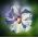 沙龙之王;叙利亚酮症，玫瑰锦葵，圣约瑟夫棒，罗莎德沙龙 - Hibiscus syriacus - 種子