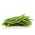 Πάστρο πράσινο φασόλι "Mistica" - Phaseolus vulgaris L. - σπόροι