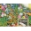 彩虹边框-一年生花的各种花色，用于盒子和镶边，10 x100厘米垫子 - 