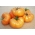 الطماطم "أورانج ويلينغتون" - البرتقال ، متنوعة الدفيئة - Lycopersicon esculentum Mill  - ابذرة