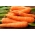 胡萝卜“高级F1” - 中早期品种 - Daucus carota - 種子