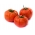 Tomat - Big League - 15 frø - Lycopersicon esculentum Mill