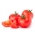 Tomat "Hector F1" - varietas kerdil untuk penanaman ladang dan tertutup - Lycopersicon esculentum Mill  - biji