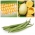 Овощи для сращивания - Набор №. 3 - семена 3 видов - 