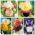 Iris - Set di varietà bicolore - 6 pezzi - 