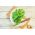 Világkonyhák - salátaleves bazsalikom - 