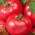 Малиновий поле помідор 'Фаворит' - плоди масою до 0,5 кг - 10 г -  Lycopersicon esculentum Mill - насіння