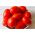 گوجه فرنگی کوتوله "Chrobry" - متوسط دیر، انواع بسیار پر جنب و جوش -  Lycopersicon esculentum - Chrobry - دانه