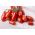 Tomată de câmp "S. Marzano 3 '- bestseller mediteranean -  Lycopersicon esculentum - S. Marzano 3 - semințe