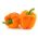 Sweet orange "Etude" piper - 10 g -  Capsicum annuum - semințe